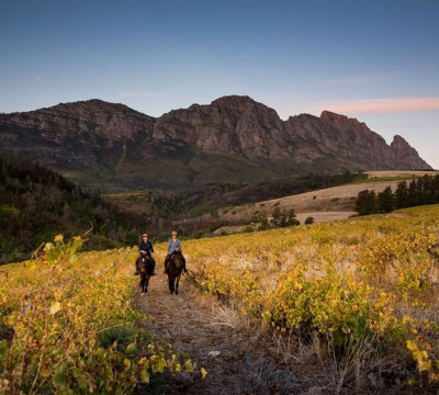 África do Sul Wine and Food expedition 