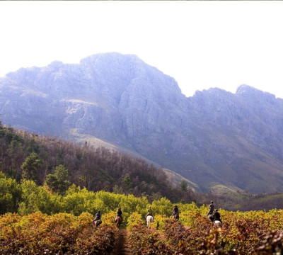 África do Sul Wine and Food expedition 