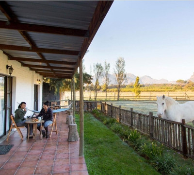 África do Sul Wine and Food expedition 