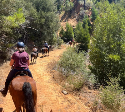 África do Sul Wine and Food expedition 